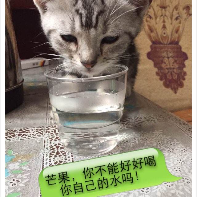 哪里可以制作大专毕业档案